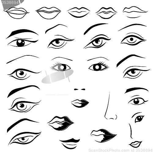 Image of Human eyes, lips, eyebrows and noses