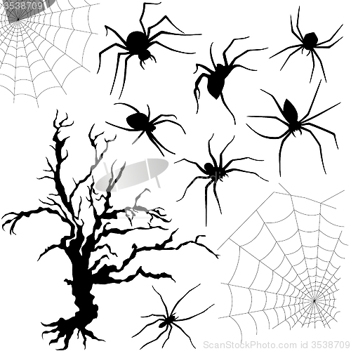 Image of Halloween set of spiders, nettings and dried tree