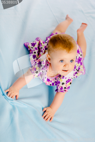 Image of baby girl in a dress. Studio