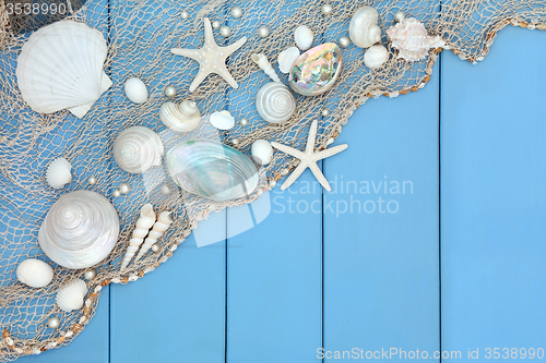 Image of Seashell Collage 