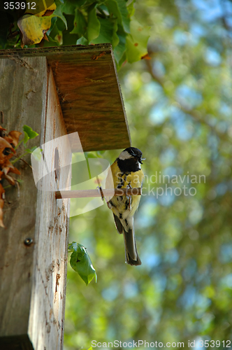 Image of Bird and house