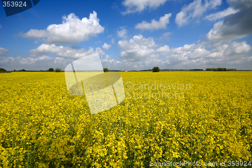Image of Landscape and clouds
