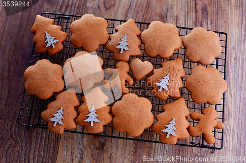 Image of gingerbread cookie