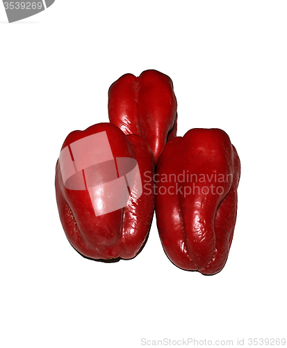 Image of Bulgarian pepper