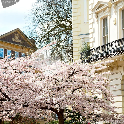 Image of exterior old architecture in england london europe wall and hist