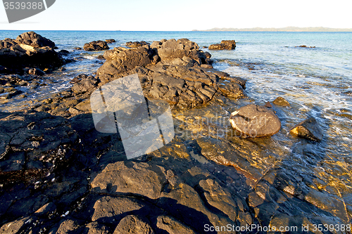 Image of     madagascar   seaweed in   sand isle  sky and rock 