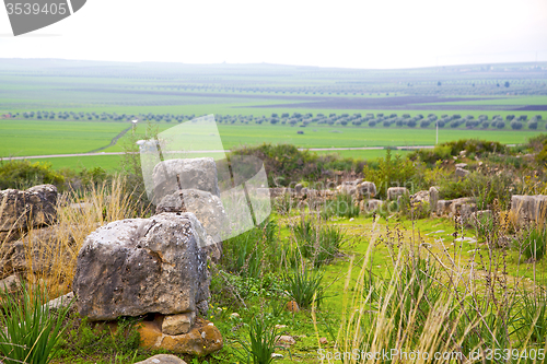 Image of volubilis in morocco africa  