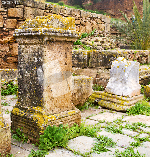 Image of chellah  in morocco africa the old roman deteriorated monument a