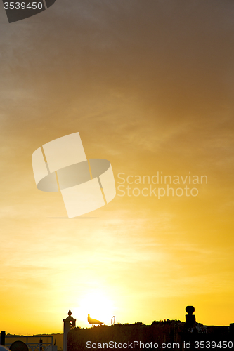 Image of light  the sunrise in  colored   and abstract background