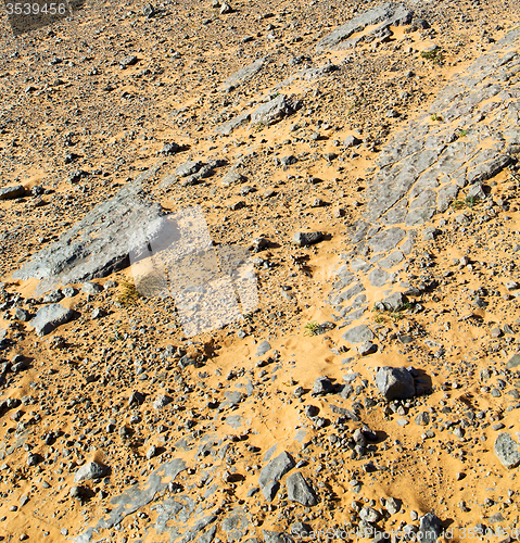 Image of  old fossil in  the desert of morocco sahara and rock  stone sky