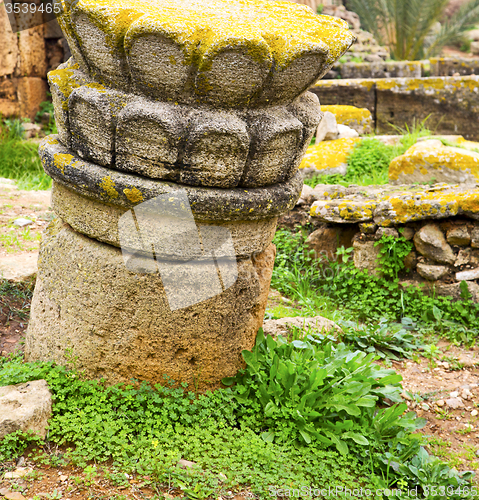 Image of chellah  in morocco africa the old roman deteriorated monument a