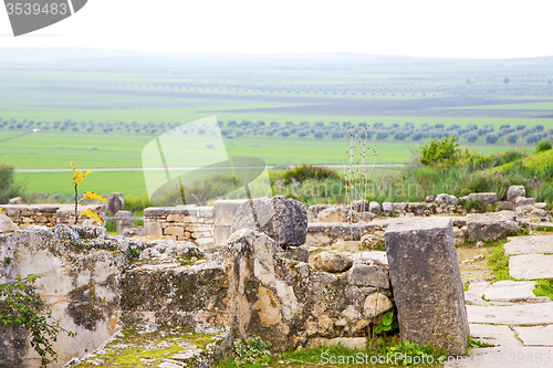 Image of volubilis in morocco africa the old roman  