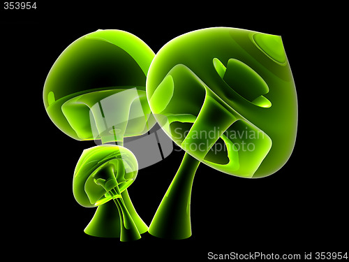 Image of Translucent Mushroom Family