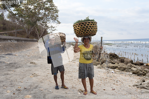 Image of Indonesian woman carries on head basket with seaweed