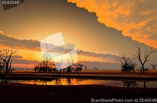 Image of Dry landscape with dead trees