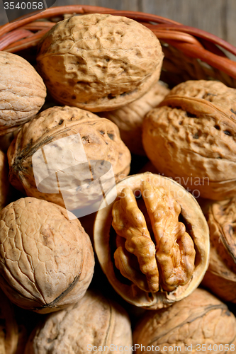 Image of Walnuts