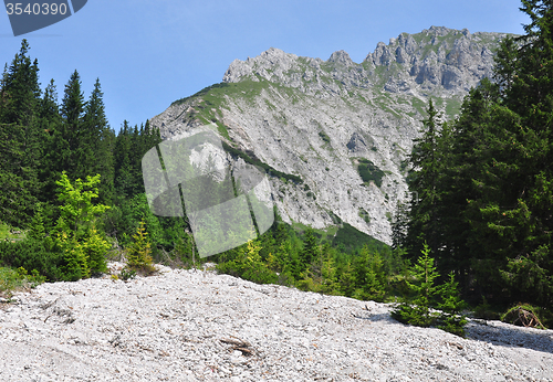 Image of Rubble field with Admonter Kalbling, Austria