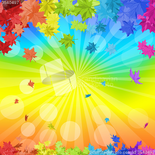 Image of Rainbow Maple Leaves