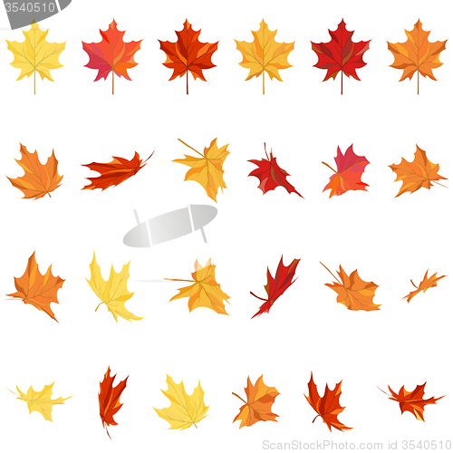 Image of Maple Leaves Set
