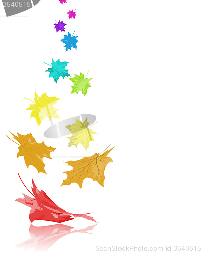 Image of Rainbow Maple Leaves