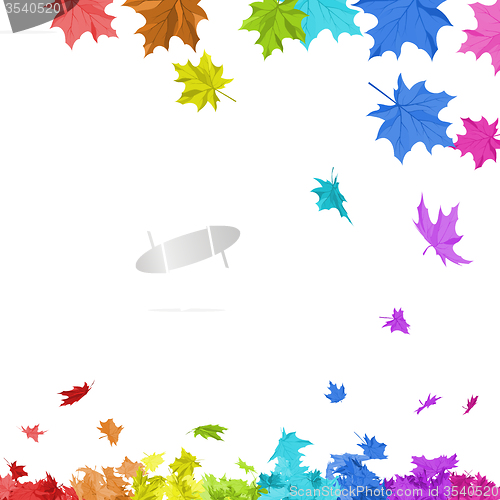 Image of Rainbow Maple Leaves