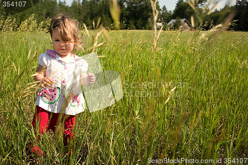 Image of A Walk In The Field