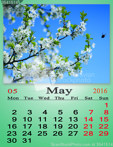Image of calendar for May 2016 with blooming cherry tree