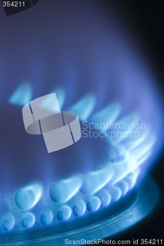 Image of Blue flames of gas stove