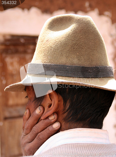 Image of Farmer in the Andes of Peru