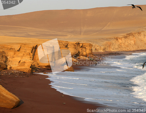 Image of Red Beach, Paracas, Peru