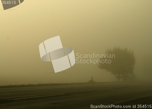 Image of Trees With Fog