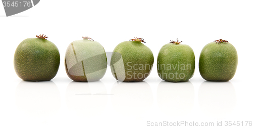 Image of Line of five kiwi berries