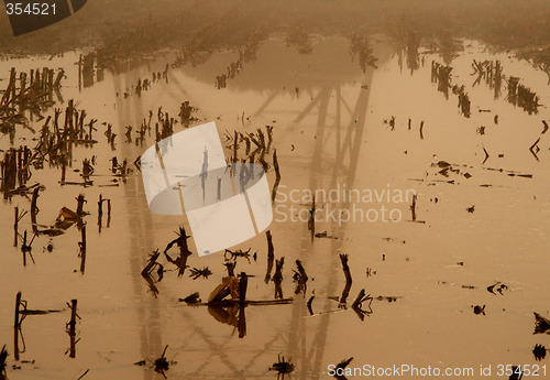 Image of Mirror Of Stream Mast