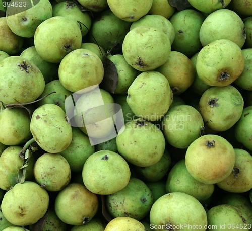 Image of Apples