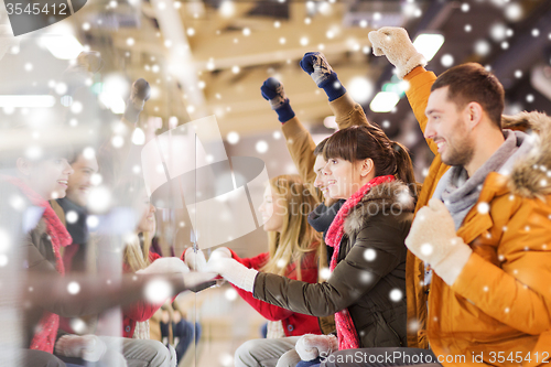 Image of happy friends watching hockey game on skating rink