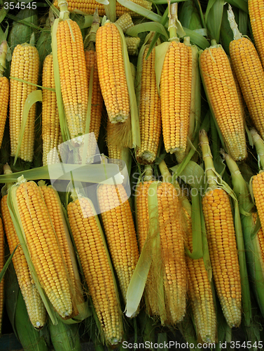 Image of corn on a market