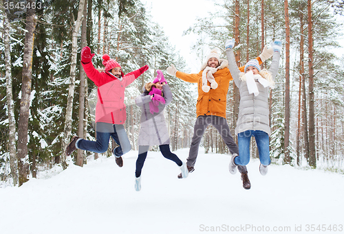 Image of group of smiling men and women in winter forest