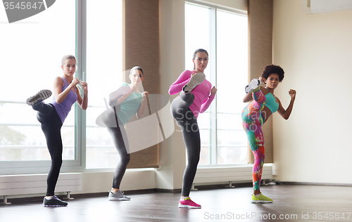 Image of group of women working out in gym