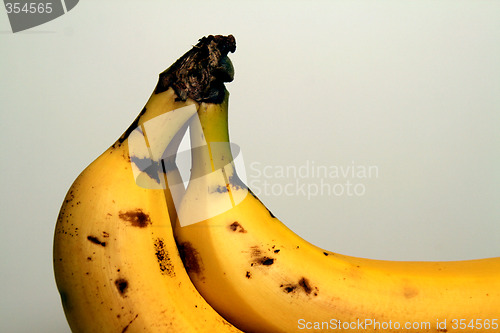 Image of Bananas