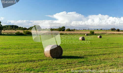 Image of haystacks or hay rolls on summer field