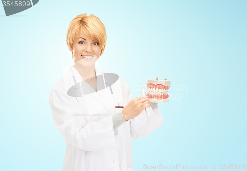 Image of happy female doctor with toothbrush and jaws model