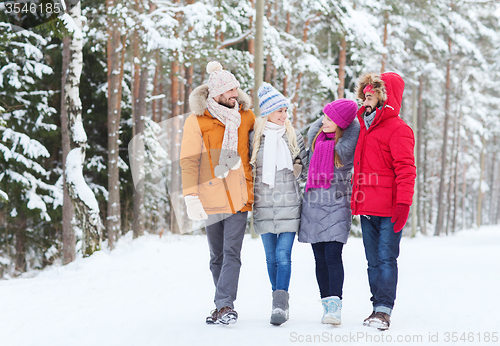 Image of group of smiling men and women in winter forest