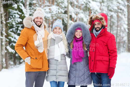 Image of group of smiling men and women in winter forest
