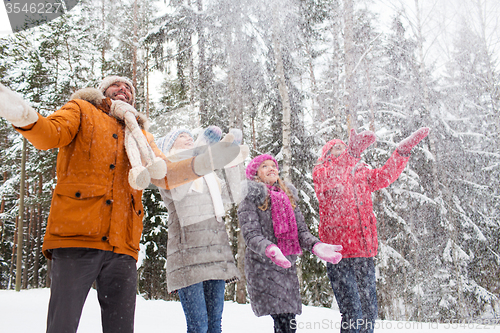 Image of group of smiling men and women in winter forest