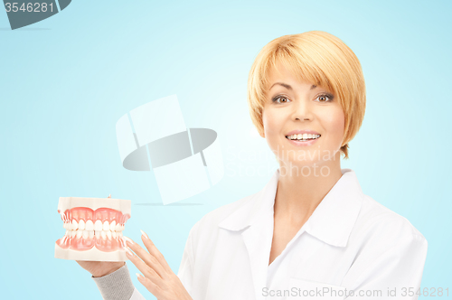 Image of happy female doctor with jaws model