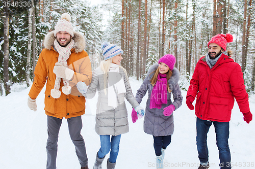 Image of group of smiling men and women in winter forest