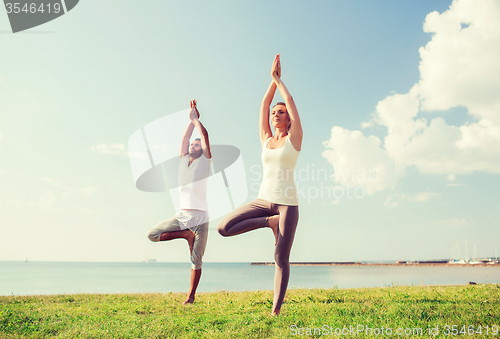 Image of smiling couple making yoga exercises outdoors