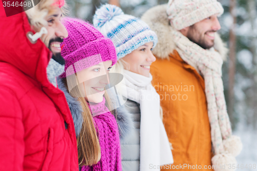 Image of group of smiling men and women in winter forest