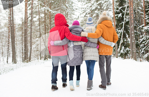 Image of group of happy men and women in winter forest
