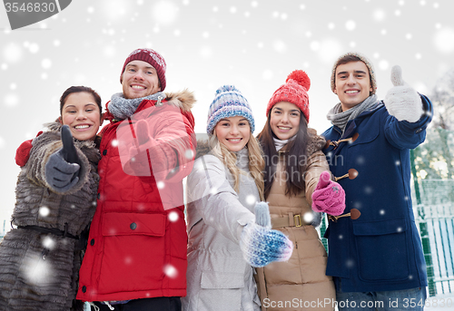 Image of group of smiling men and women in winter forest